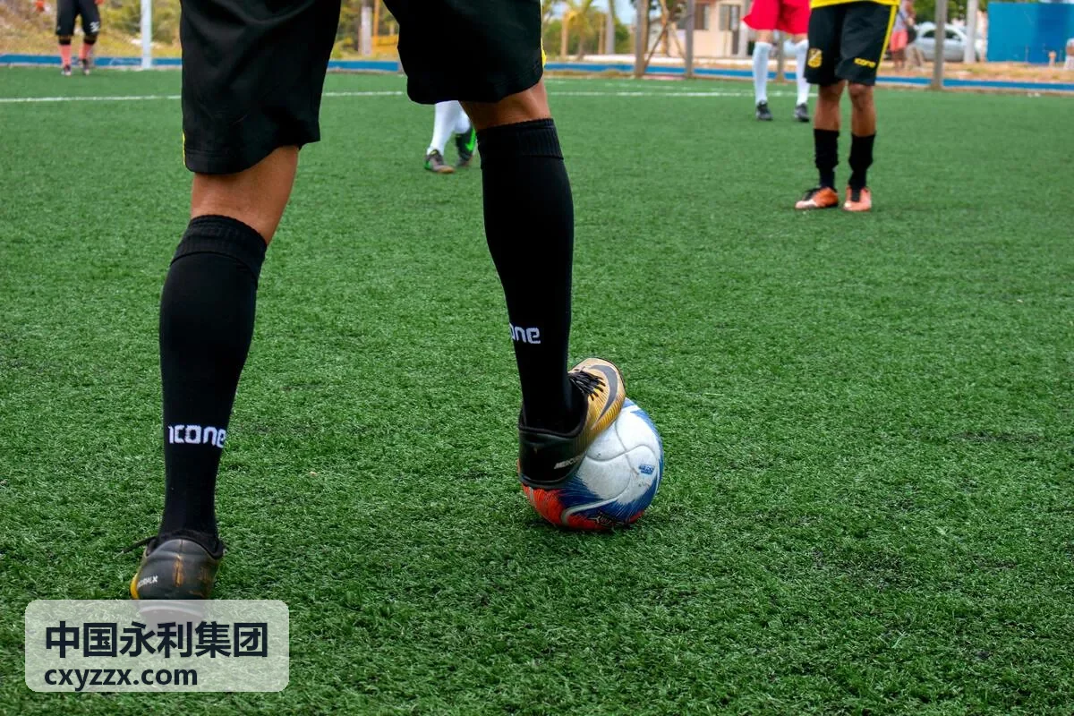 中国永利集团产业版图